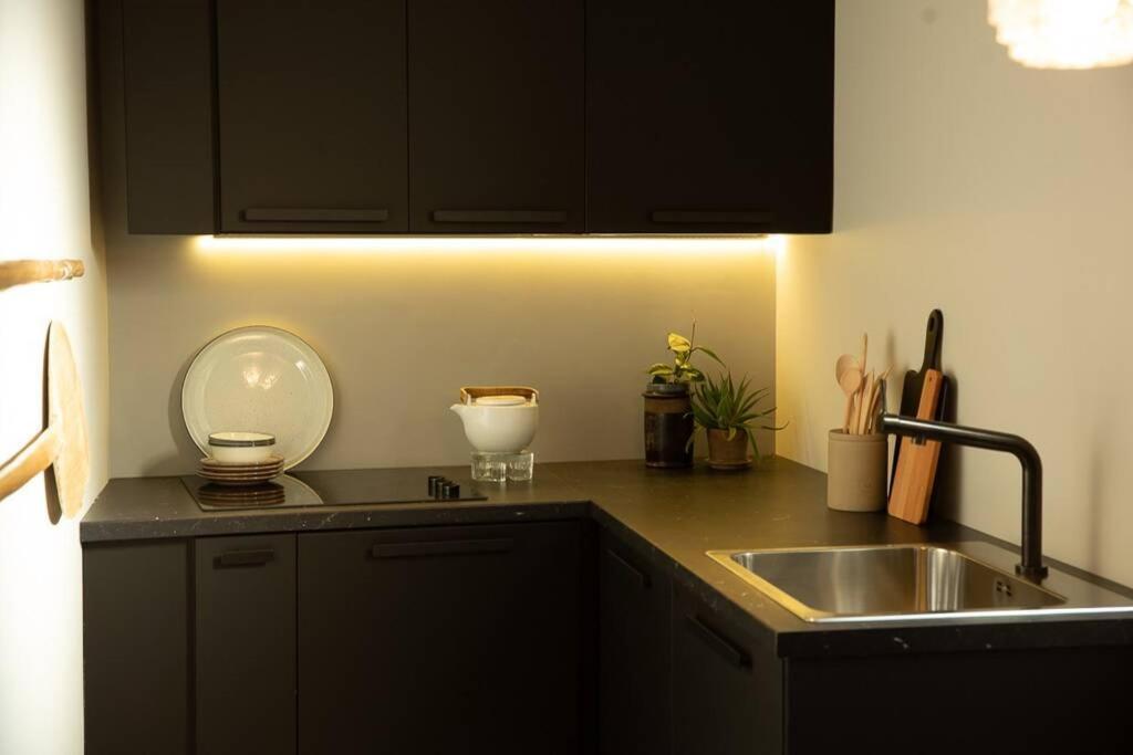 Zen Apartment - Calea Victoriei 布加勒斯特 外观 照片